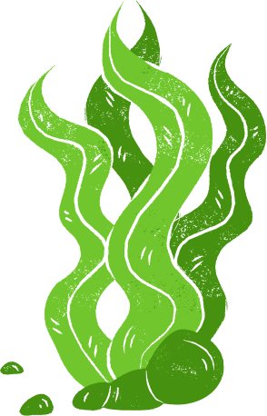 Seaweed motif